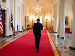 0020ee8c19dde118eb74caa7b7874fa5.landscape